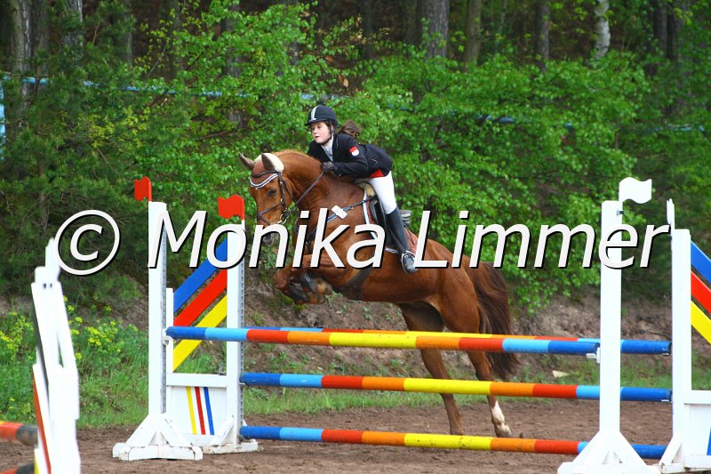 005L4843_Spring  Ax.JPG